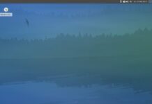 Unterschätztes Leichtgewicht