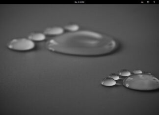 Never change a running horse in the storm