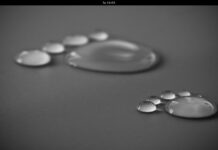 Ubuntu GNOME Trusty Tahr Beta1