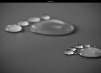 Ubuntu GNOME Trusty Tahr Beta1