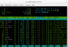 Mein erster vServer htop
