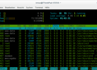 Mein erster vServer htop