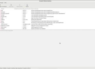 Welche Version ist installiert? Synaptic