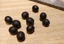 Cannas selbst ziehen Canna