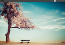 GhostBSD vs. Solus GhostBSD