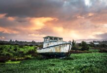 Manche Dinge funktionieren eben nicht