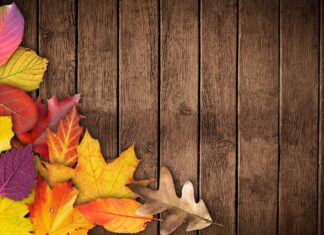 Invites für ein OnePlus One zu verschenken