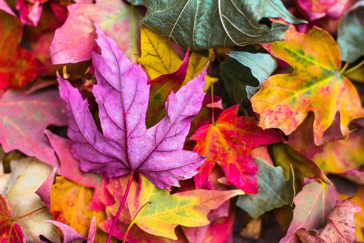 Farben