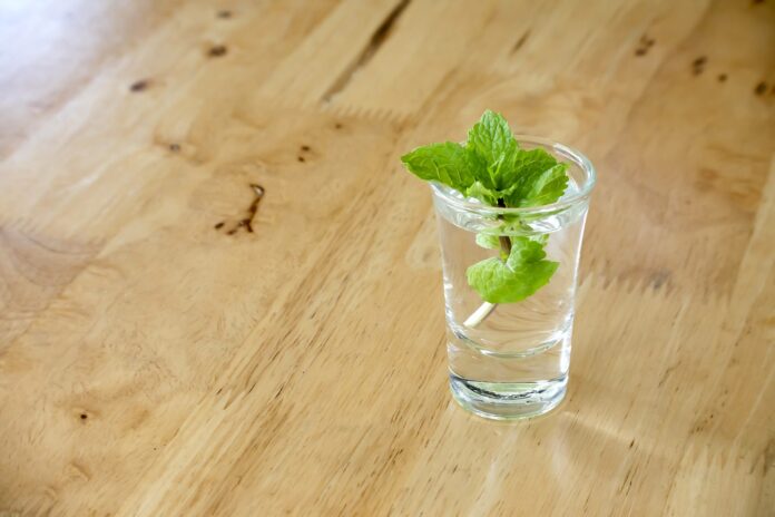 Peppermint Glass A Mint Beverage 