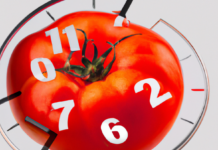 Pomodoro Timer für Ubuntu 24.04 Pomodoro-Timer