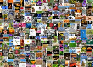 Bilder unter Linux effizient per Kommandozeile skalieren pictures, photos, photo collection, photo album, mosaic, collage, recordings, diversity, lots, multicoloured, mixture, picture album, taking photos, pixabay, collage, collage, collage, collage, collage