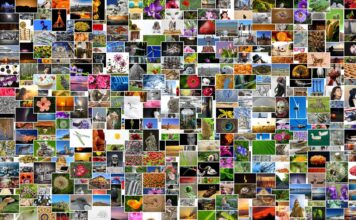 Bilder unter Linux effizient per Kommandozeile skalieren pictures, photos, photo collection, photo album, mosaic, collage, recordings, diversity, lots, multicoloured, mixture, picture album, taking photos, pixabay, collage, collage, collage, collage, collage